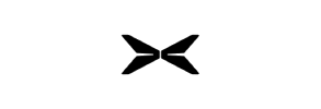 xpeng 合作伙伴 logo
